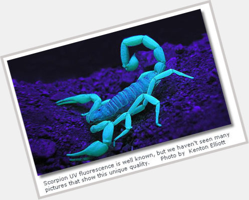 scorpions album 0.jpg