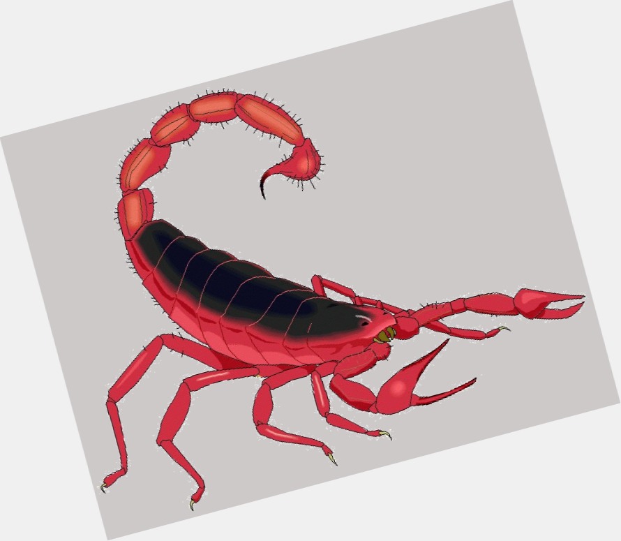 scorpions band 1.jpg