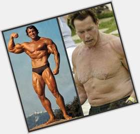 Arnold Schwarzenegger Bodybuilder body,  light brown hair & hairstyles