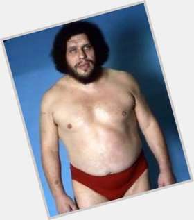 Andre The Giant Large body,  dark brown hair & hairstyles